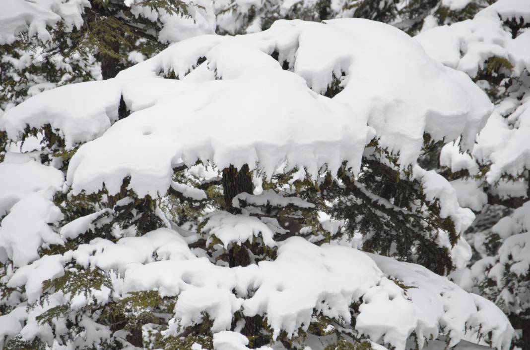 Burası Ocakta Uludağ değil, Nisanda Konya 19